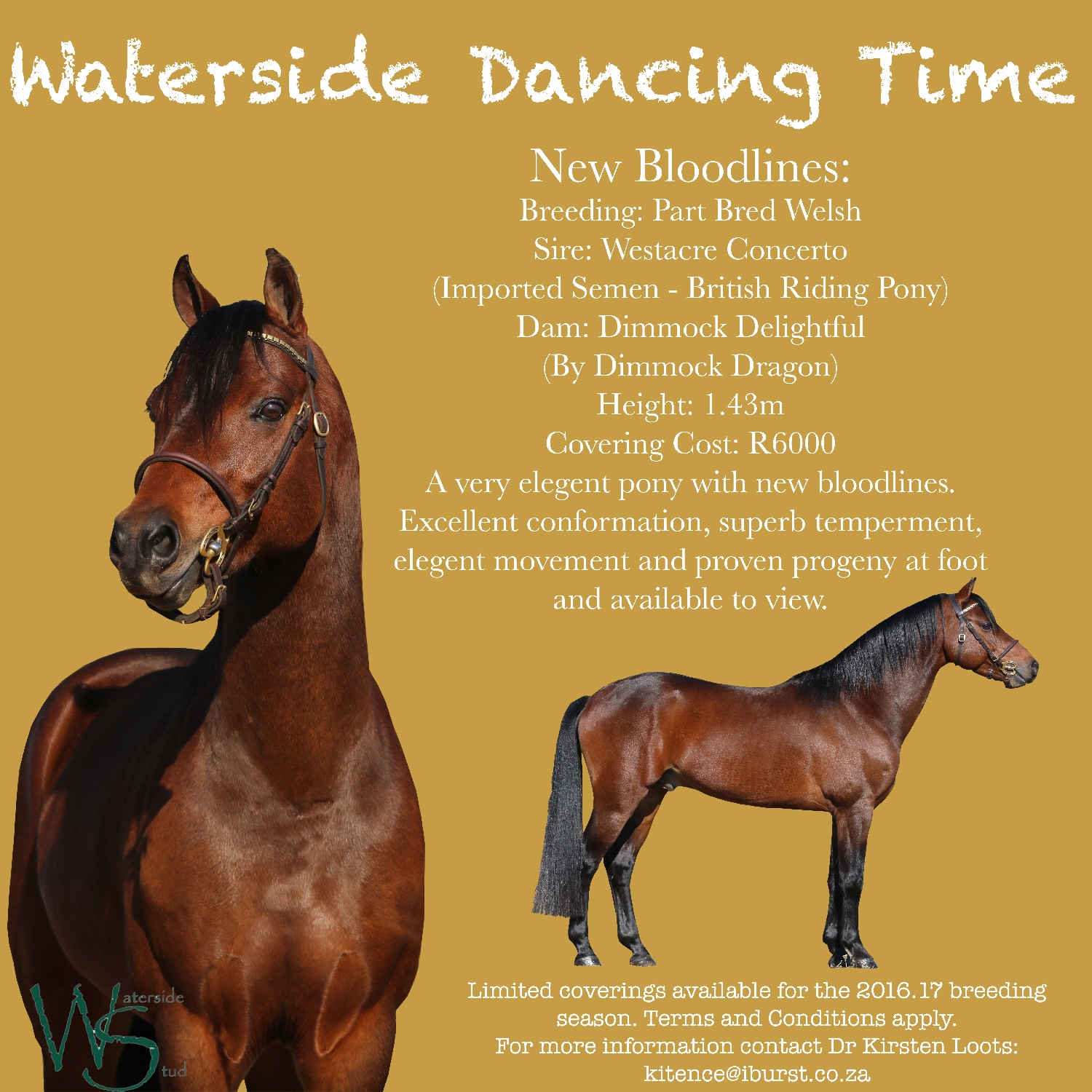 waterside-dancing-time